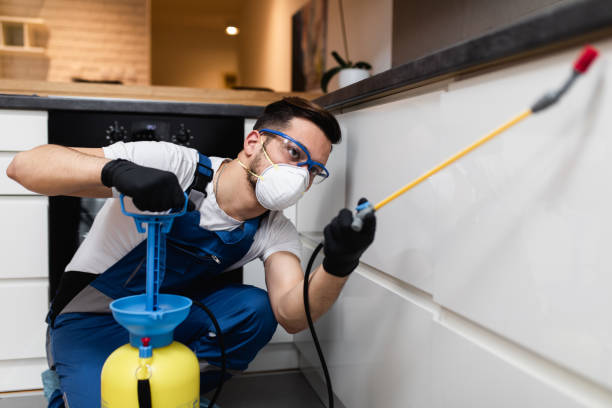 Best Wasp Removal Services  in Broadview, IL