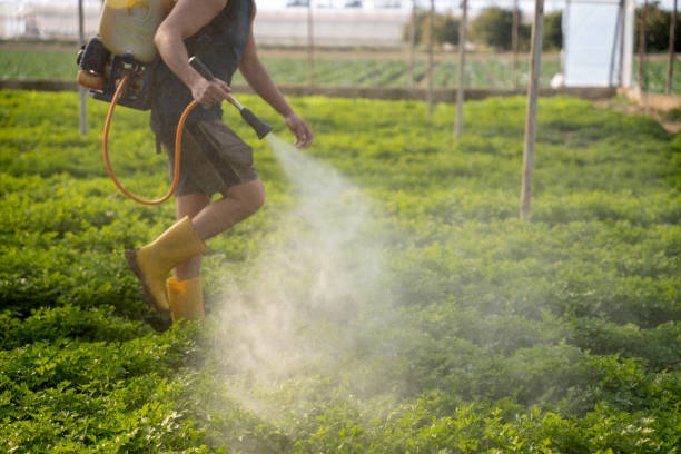 Best Pest Removal Services  in Broadview, IL