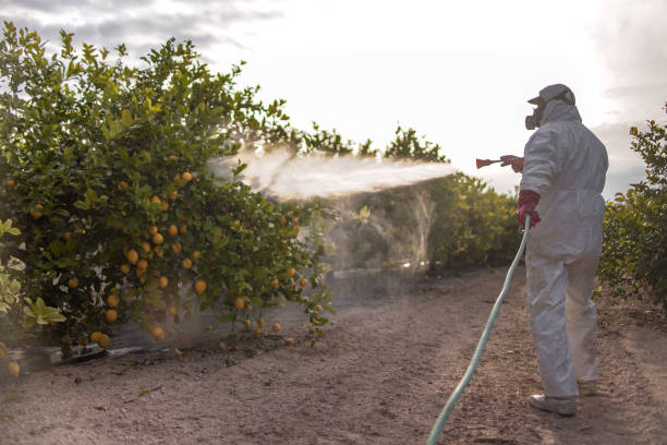 Best Best Pest Control Companies  in Broadview, IL