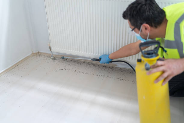 Best Best Pest Control Companies  in Broadview, IL
