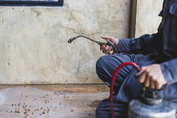 Best Flea Control Services  in Broadview, IL