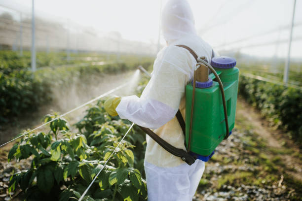 Best Spider Control Near Me  in Broadview, IL